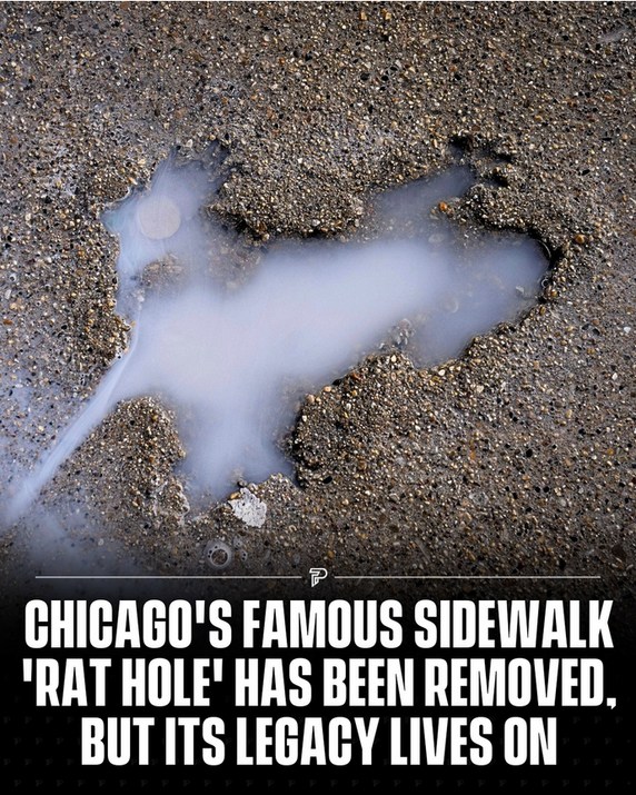 City officials have removed and preserved the renowned sidewalk dent in Chicago, affectionately known as ‘the rat hole’. - meme