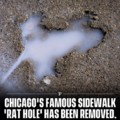 City officials have removed and preserved the renowned sidewalk dent in Chicago, affectionately known as ‘the rat hole’.