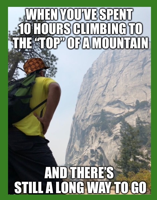 That's a long Way up - meme