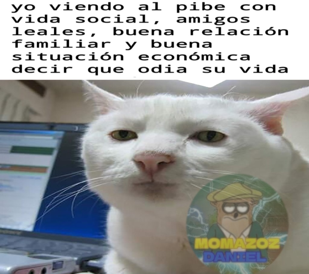 Qe envidia wn - meme