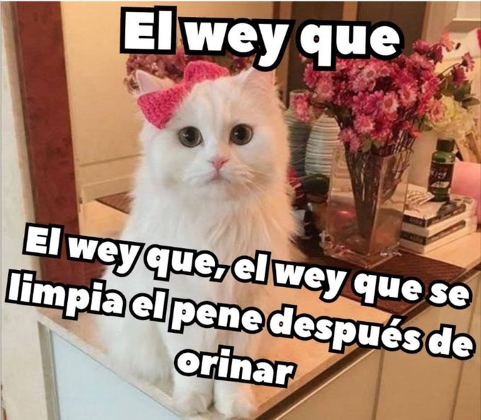 Evento: comenten peliculas/series/videojuegos para hacer memes de estos