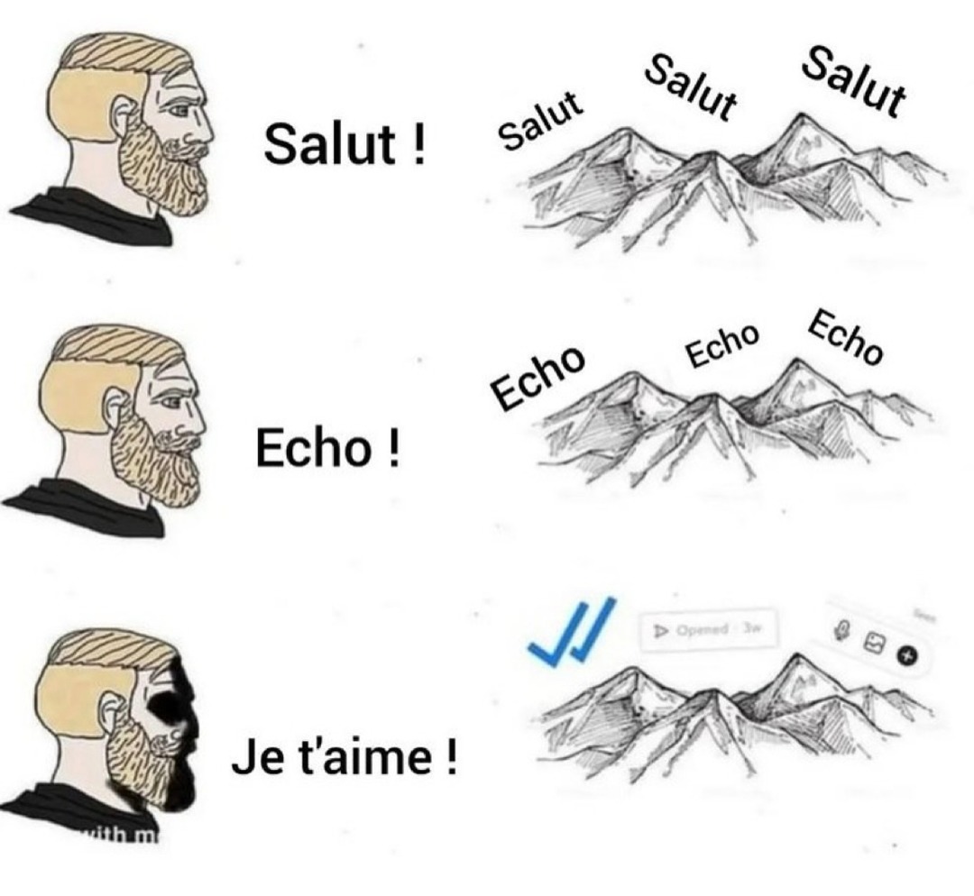 Je t’aime – Echo Echo Echo… silence - meme