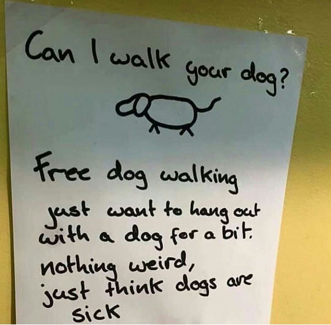 sickest dog walker in the world - meme