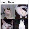 Is it meme you're looking for 9 (nein )
