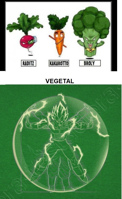 VEGETA-Vegetal & Vegetruvian - meme