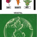 VEGETA-Vegetal & Vegetruvian