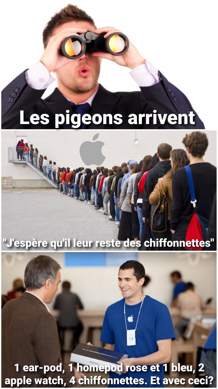 Les pigeons - meme