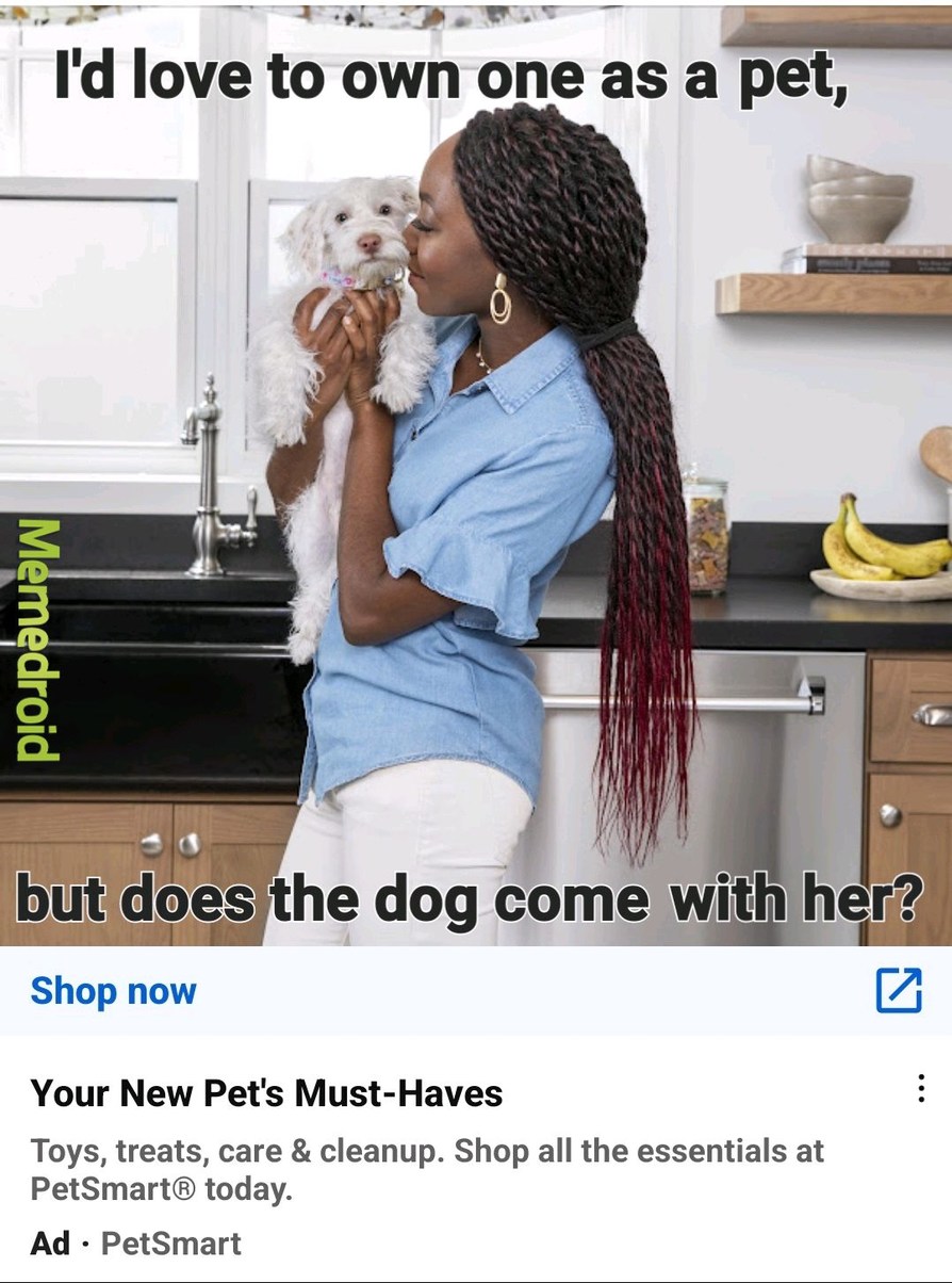 Does the dog come with the pet? - meme