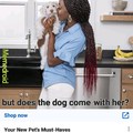 Does the dog come with the pet?