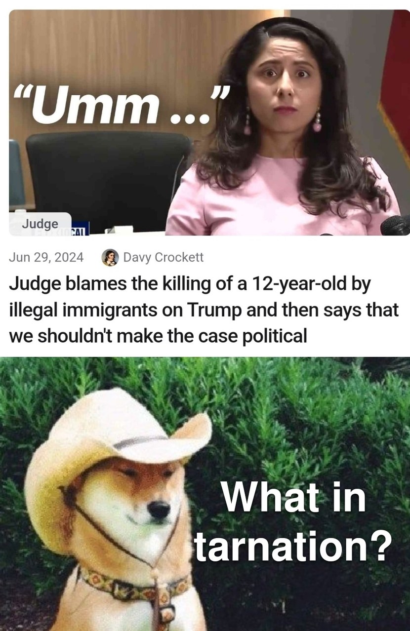 Soros  funded judge - meme