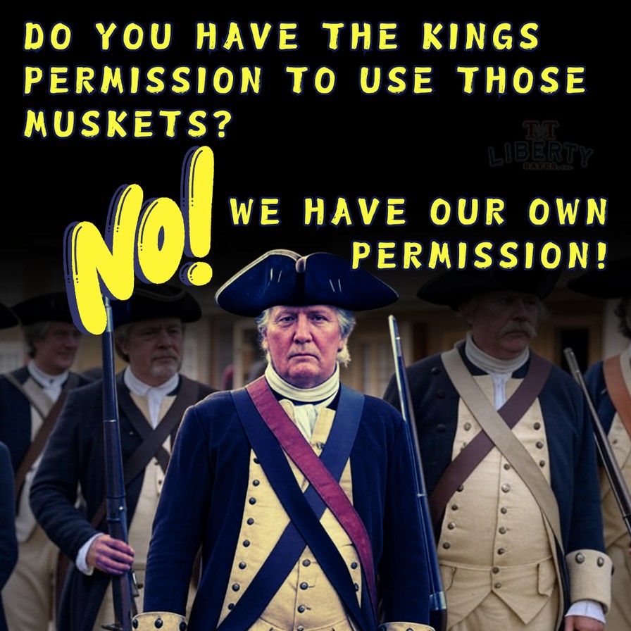 2nd Amendment - meme