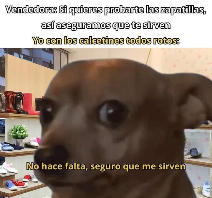La vendedora: probátelas con calcetines normales. Yo: así nomás - meme