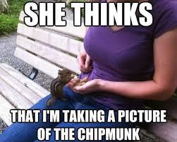 Yeah it's definitely the chipmunk.... - meme