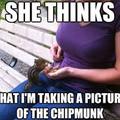 Yeah it's definitely the chipmunk....