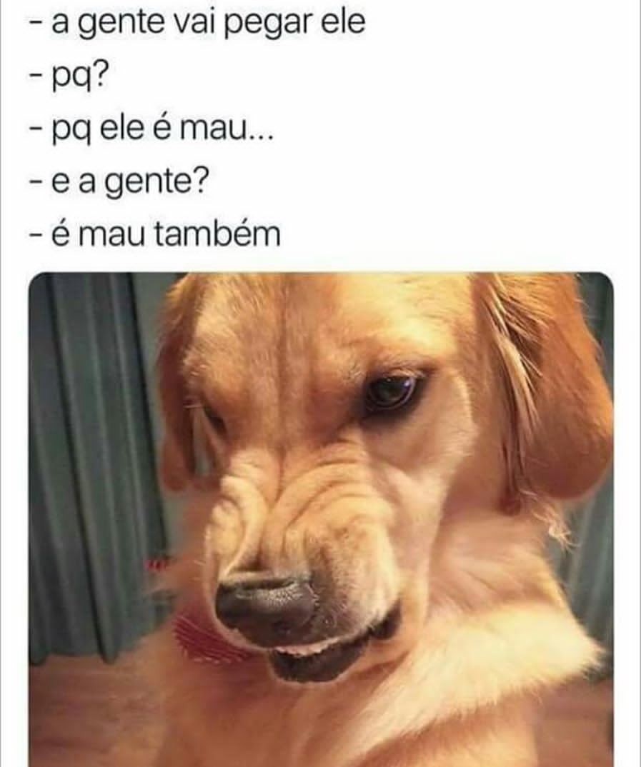 Dog brabo - meme