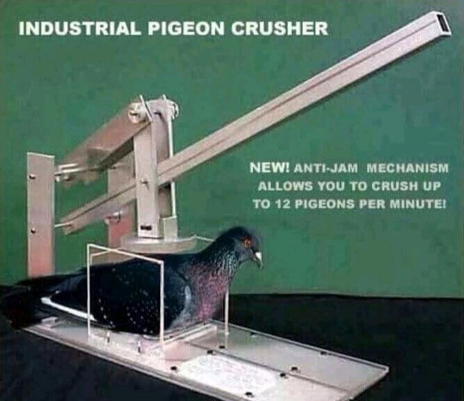 Now all my pigeon crushing needs have been solved - meme