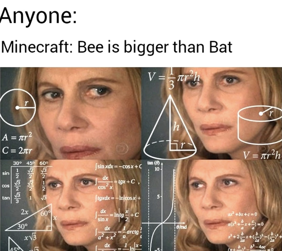 Bee - meme