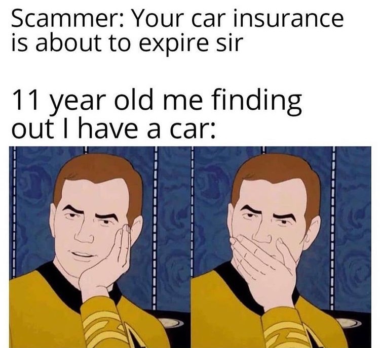 I get too many scam calls - meme