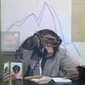 Mono administrador