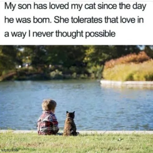 Wholesome cat boy friendship - meme