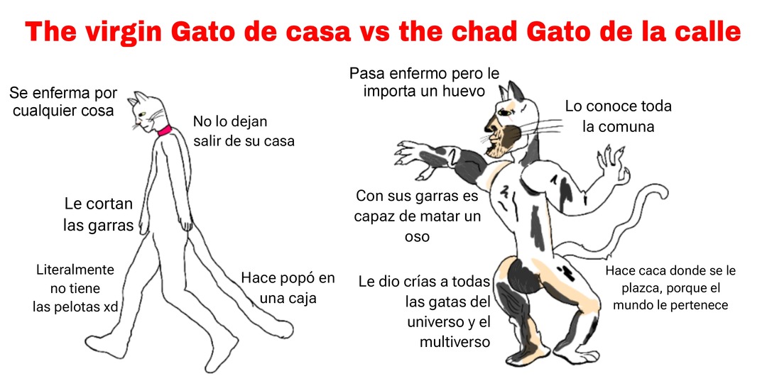 The virgin Gato de casa vs the chad Gato de la calle - meme