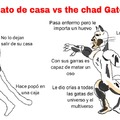 The virgin Gato de casa vs the chad Gato de la calle