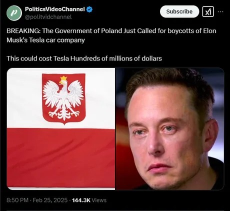 Government of Poland called for boycotts of Elon Musk's Tesla car company - meme