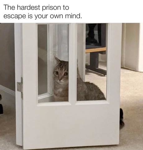 Escaping your brain is harder than Alcatraz - meme