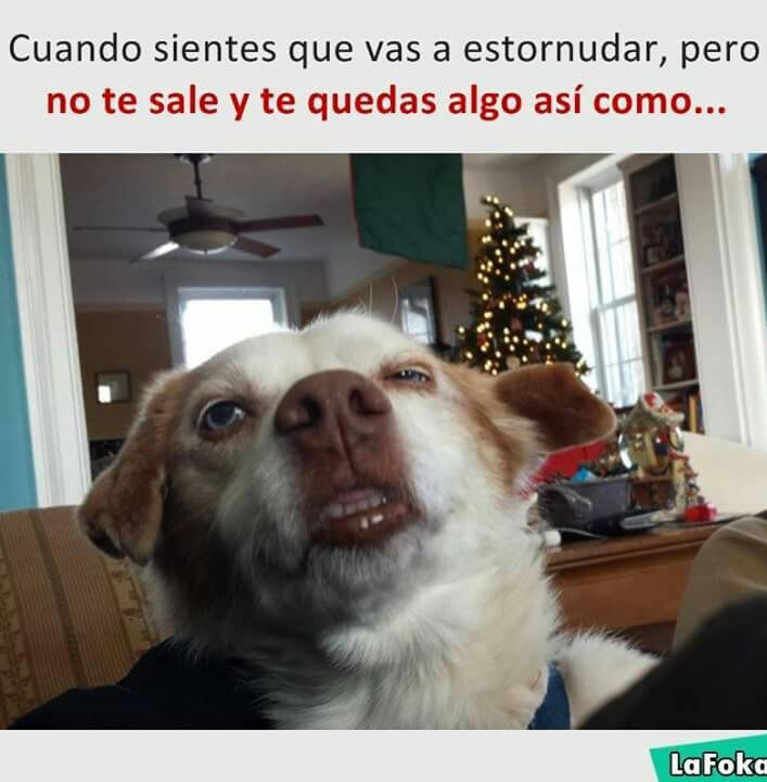 True History Meme By Juanmanuel 912 Memedroid True History Meme By Juanmanuel 912 Memedroid