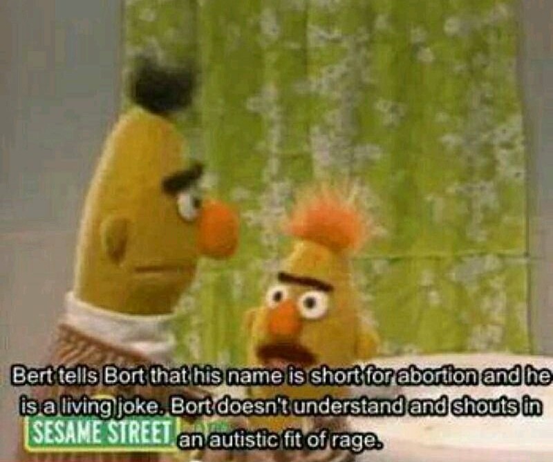 Bert & Ernie memes are the best