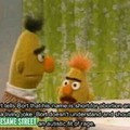 Bert & Ernie memes are the best
