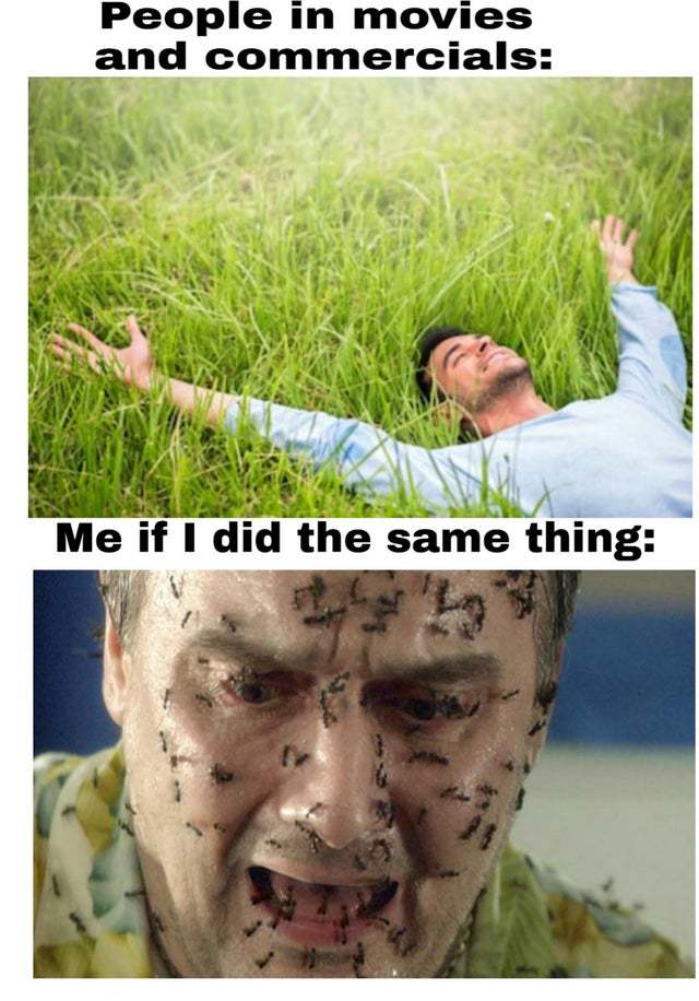 Don't lie on the grass - meme
