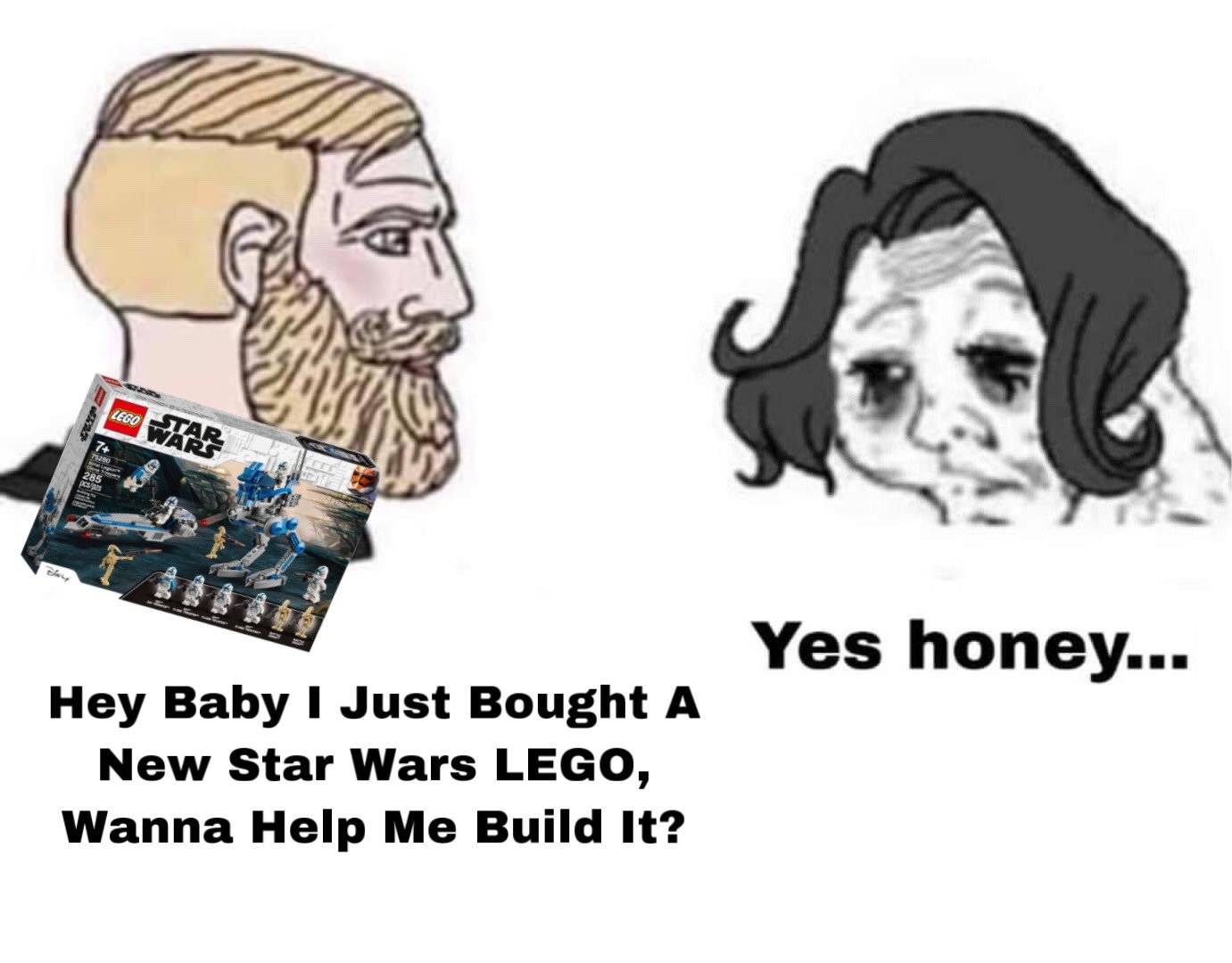 dongs in a lego - meme