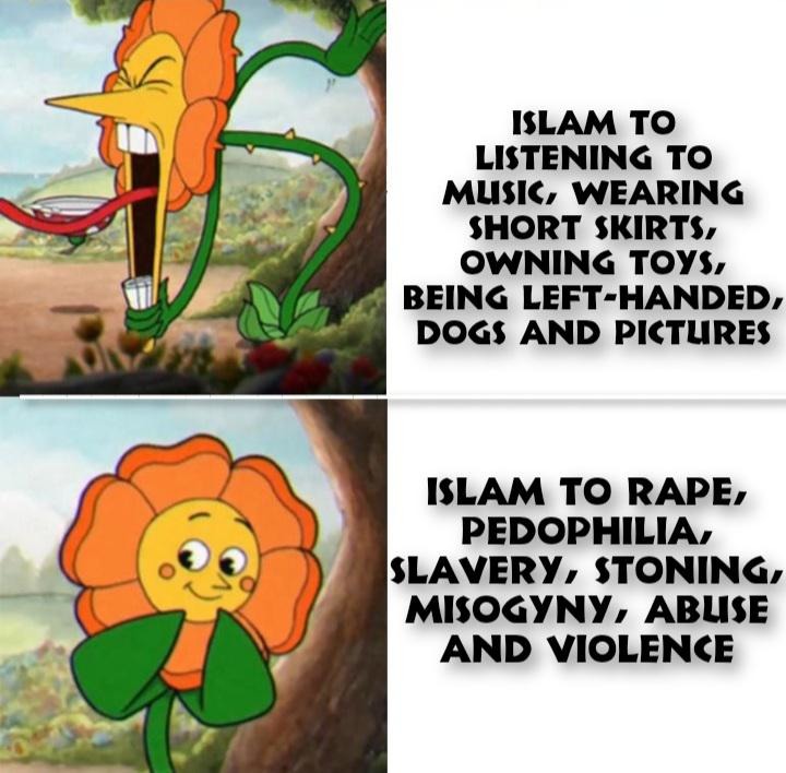 religion of peace my ass - meme