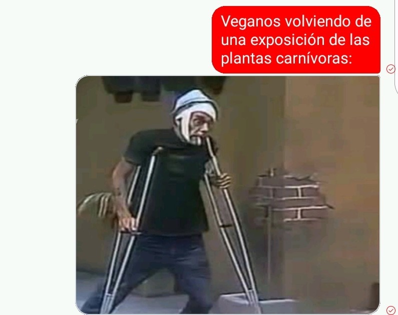 Pov haces tus memes en messenger