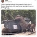 commented item thumbnail