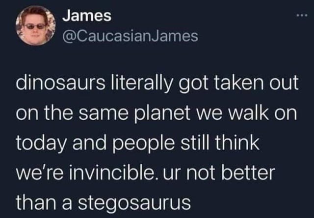 You're not better than a stegosaurus bro - meme