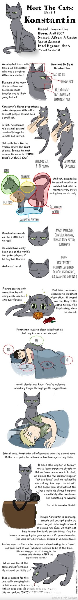 meet konstantin - meme