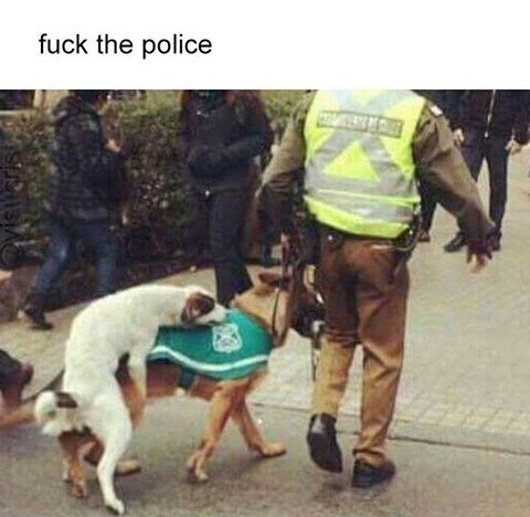 This Police... - meme