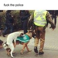 This Police...