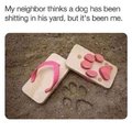 My neighbor thinks a dog has been shitting in his yard, but it's been me