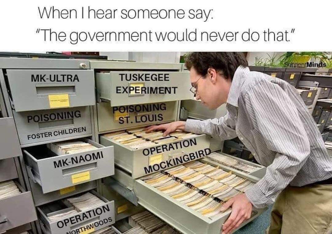 dongs in a government - meme