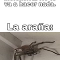 La araña del cuarto