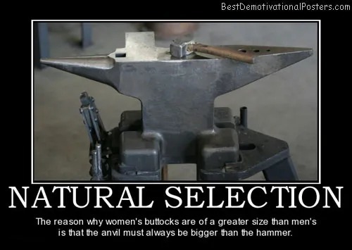 Natural Selection - meme