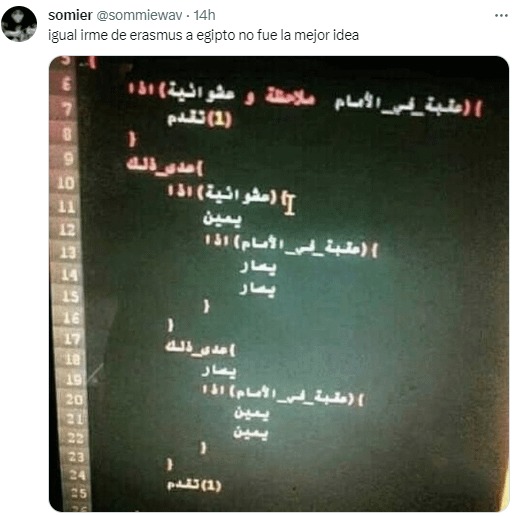 Erasmus como programador en EGIPTO - meme