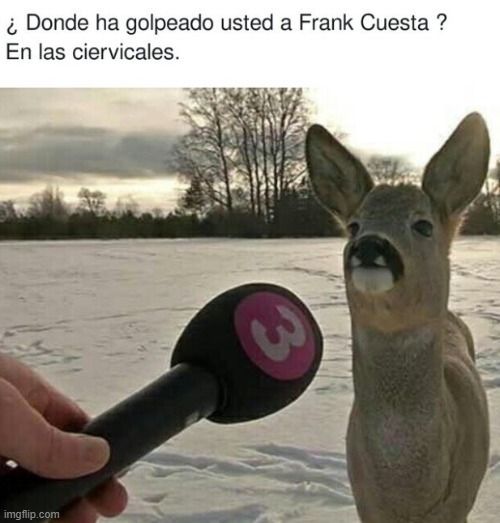 Meme del ataque del ciervo a Frank Cuesta