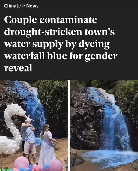 Gender reveal - meme