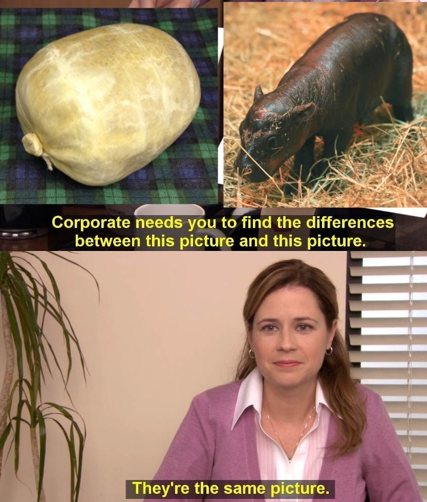 Same? - meme