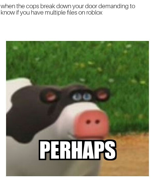 Perhaps cow - meme