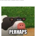 Perhaps cow